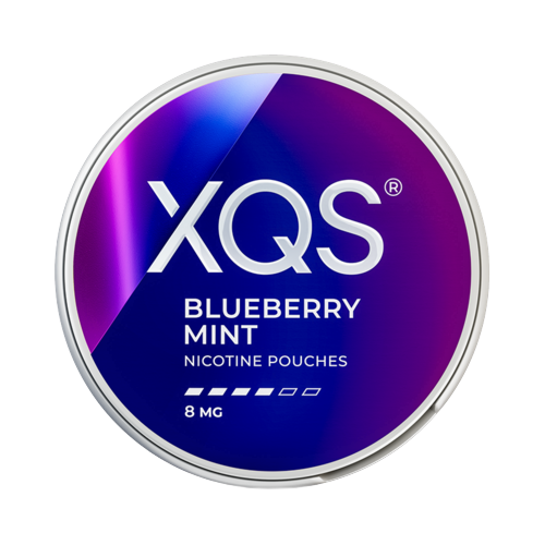 XQS Blueberry Mint